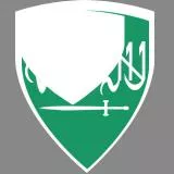 Saudi arabian flag