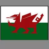 Very Simplified Welsh Flag