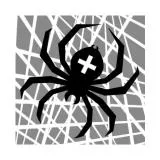 Spider Araneus/Pauk-krestovik