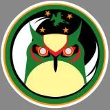 Grun 10th Air Division 8th Tactical Fighter Squardon