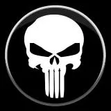 PUNISHER SEAL TEAM 3