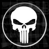 the punisher v2