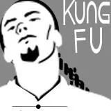 kung fu master