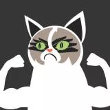grumpy cat - do you even lift ?