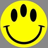 Evolution Movie Smile Face