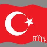 Türk Bayrağı, Göktürk