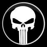 the punisher