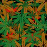 420 pot camo