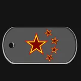 Chinese badge