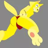 Gay zorori