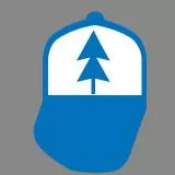 Dipper's hat from Gravity Falls