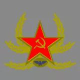 Russian Badge - Veteran Soldier