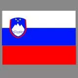 Slovenian flag