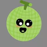 Melon