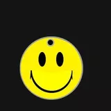 Dog Tag Bad Compagnie