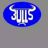 Bulls