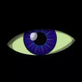 Eye