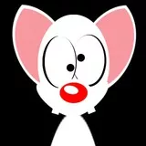 Pink  do desenho pink e cérebro 