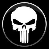 the punisher