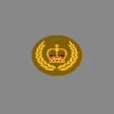 British Army Warrant Officer Class II