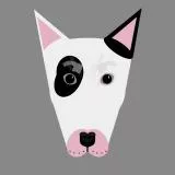 bullterrier