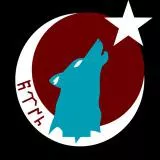 Turkish flag Wolf moon gokturk