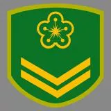 Taiwan Army Private