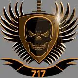 الفرقة 717