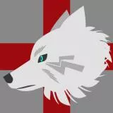 Medic Wolf