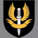 British SAS Patch [Original 