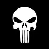 The punisher