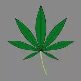 Cannabis Lead