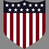 TEAM USA BF1 Official Emblem