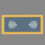 Lieutenant Colonel Shoulder Boards