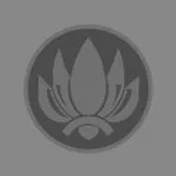 Phantom facility logo