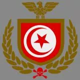 Tunisian national Army