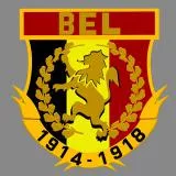 BELGIUM WW1 INSIGNIA