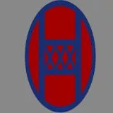 US 30th Infantry Division 