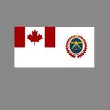Canadian forces