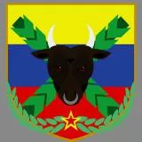 Colombia Bull Patch army