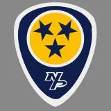 Nashville Predators Guitar Pick