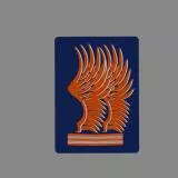 24 Air Mobile Battalion