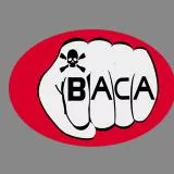 Bikers Against Child Abuse