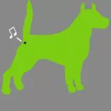 green dog