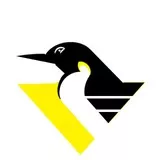 Penguins 90s Logo