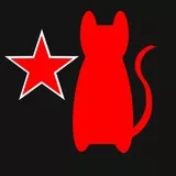 Sanya V. Litvyak Red Cat Logo