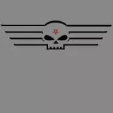 H-D Skull
