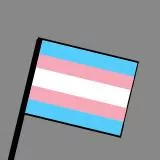 Little Transflag
