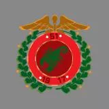 51'st Battalion Emblem